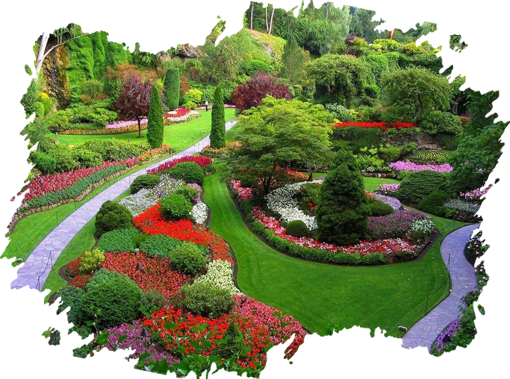 Welcome To Pragati Garden Service, Gardening And Landscaping Services